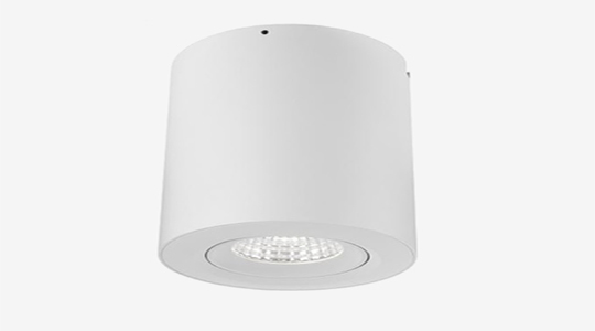 Crest Series Gimbal Surface Mounted LED Downlight